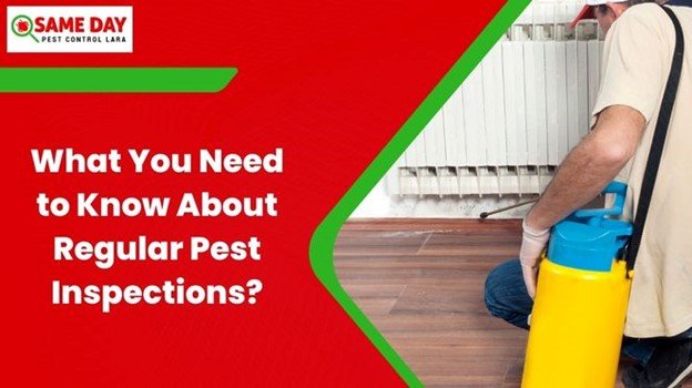 Regular Pest Inspection