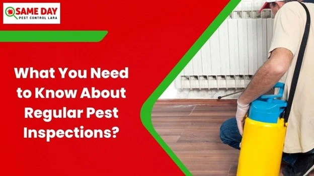 Regular Pest Inspections